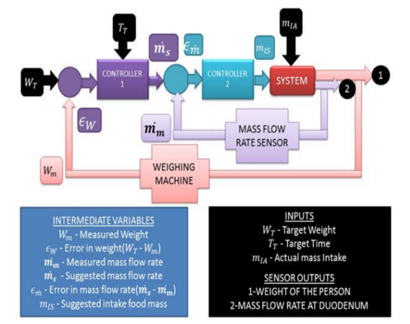 Weight Loss Control System -Research Project-